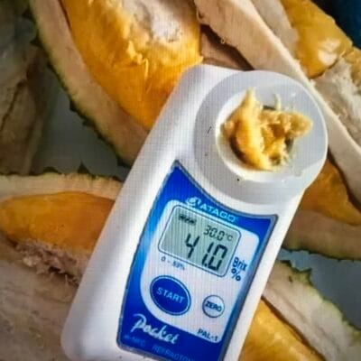 Máy đo độ ngọt điện tử ATAGO PAL-1